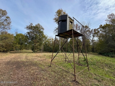 Tensas Parish LA - The Glade Hunting Property - image 36