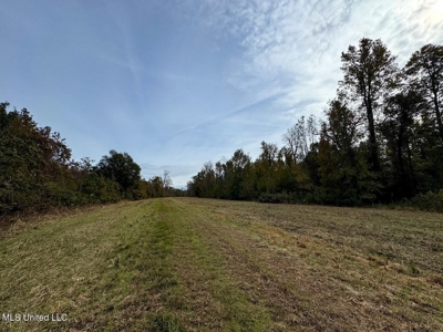Tensas Parish LA - The Glade Hunting Property - image 34