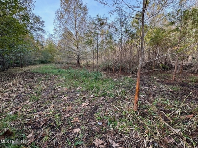 Tensas Parish LA - The Glade Hunting Property - image 42