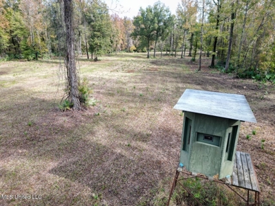 Tensas Parish LA - The Glade Hunting Property - image 10