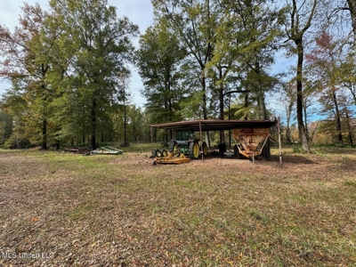Tensas Parish LA - The Glade Hunting Property - image 30