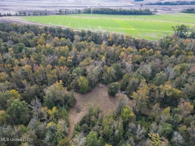 Tensas Parish LA - The Glade Hunting Property - image 11