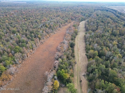 Tensas Parish LA - The Glade Hunting Property - image 5