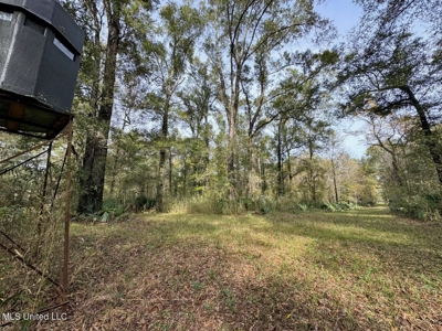 Tensas Parish LA - The Glade Hunting Property - image 38