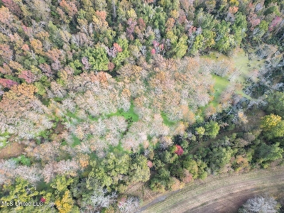 Tensas Parish LA - The Glade Hunting Property - image 12
