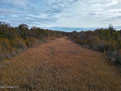 Tensas Parish LA - The Glade Hunting Property - image 9