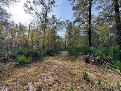 Tensas Parish LA - The Glade Hunting Property - image 45