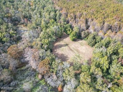 Tensas Parish LA - The Glade Hunting Property - image 17