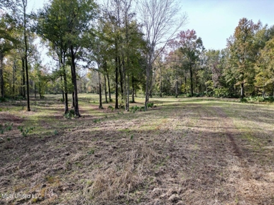 Tensas Parish LA - The Glade Hunting Property - image 23
