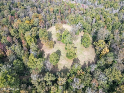 Tensas Parish LA - The Glade Hunting Property - image 16