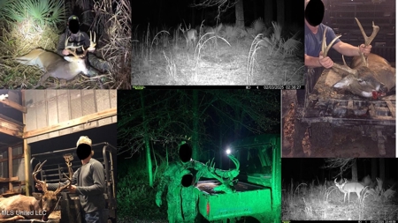 Tensas Parish LA - The Glade Hunting Property - image 2