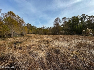 Tensas Parish LA - The Glade Hunting Property - image 43