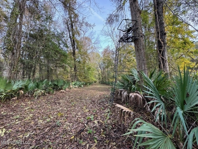 Tensas Parish LA - The Glade Hunting Property - image 37