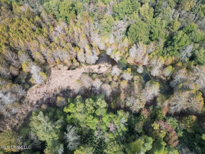 Tensas Parish LA - The Glade Hunting Property - image 18