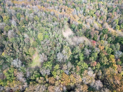 Tensas Parish LA - The Glade Hunting Property - image 7
