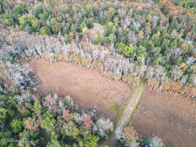 Tensas Parish LA - The Glade Hunting Property - image 4