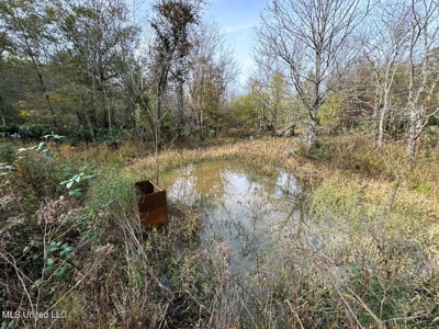 Tensas Parish LA - The Glade Hunting Property - image 46