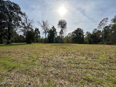 Tensas Parish LA - The Glade Hunting Property - image 41
