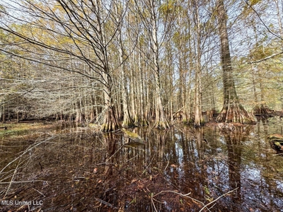 Tensas Parish LA - The Glade Hunting Property - image 44