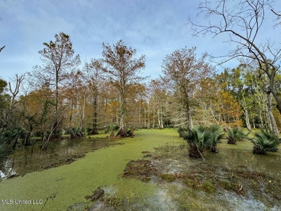 Tensas Parish LA - The Glade Hunting Property - image 35