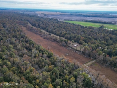Tensas Parish LA - The Glade Hunting Property - image 8