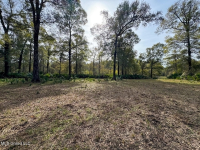 Tensas Parish LA - The Glade Hunting Property - image 40
