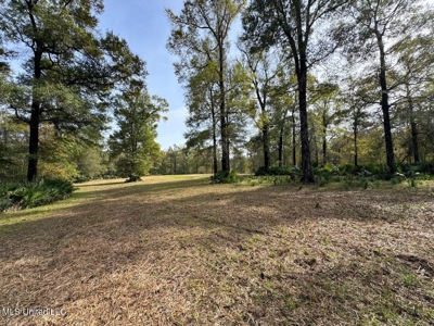 Tensas Parish LA - The Glade Hunting Property - image 39