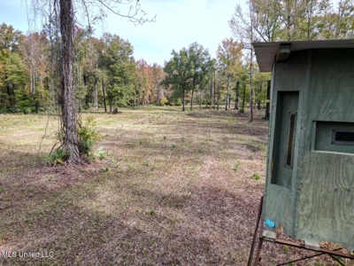 Tensas Parish LA - The Glade Hunting Property - image 3
