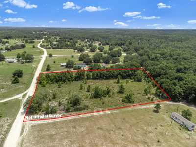 Vacant 5 Acres For Sale Trenton, FL - image 4