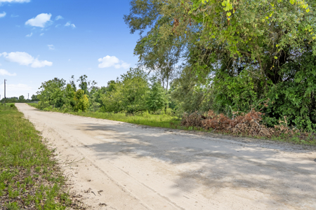 Vacant 5 Acres For Sale Trenton, FL - image 33