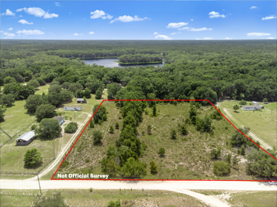 Vacant 5 Acres For Sale Trenton, FL - image 2
