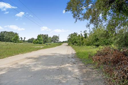 Vacant 5 Acres For Sale Trenton, FL - image 32
