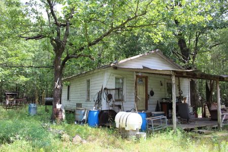 Off- Grid Hunting Paradise in Red River County Texas For Sale - image 3