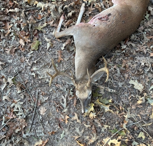 Off- Grid Hunting Paradise in Red River County Texas For Sale - image 17