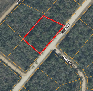 Wooded Paradise Near McCormick Lake! - image 4