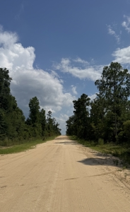 Wooded Paradise Near McCormick Lake! - image 2