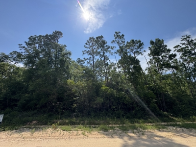 Wooded Paradise Near McCormick Lake! - image 3