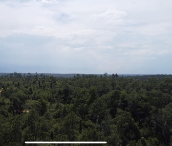 Wooded Paradise Near McCormick Lake! - image 1