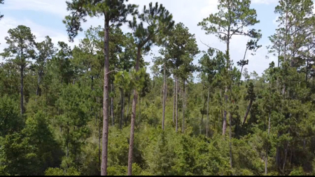 Raw Land – Paradise Near McCormick Lake! - image 1