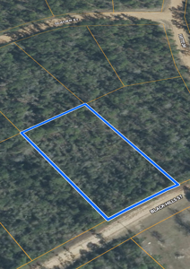 Raw Land – Paradise Near McCormick Lake! - image 5