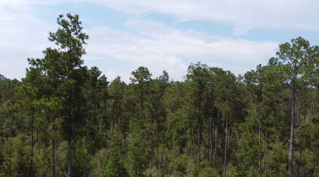 Raw Land – Paradise Near McCormick Lake! - image 2