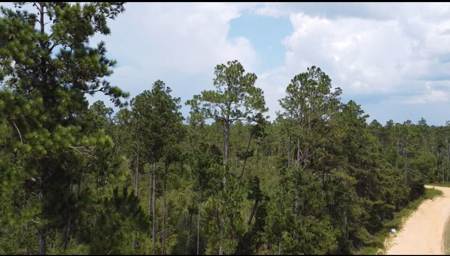 Raw Land – Paradise Near McCormick Lake! - image 3