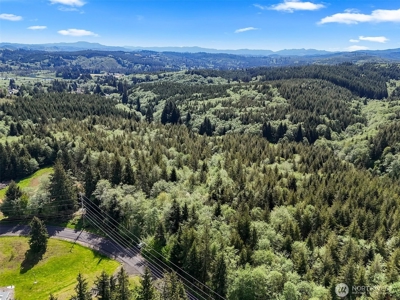 Peaceful 0.3‑Acre Corner Lot Backing to 500+ Acres of State Land - image 3