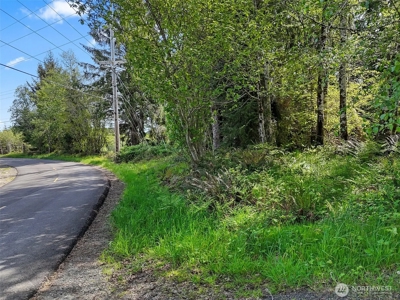 Peaceful 0.3‑Acre Corner Lot Backing to 500+ Acres of State Land - image 4