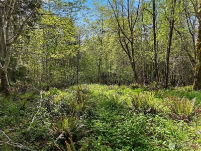 Peaceful 0.3‑Acre Corner Lot Backing to 500+ Acres of State Land - image 10