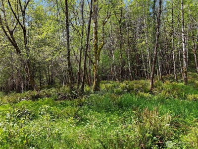 Peaceful 0.3‑Acre Corner Lot Backing to 500+ Acres of State Land - image 2