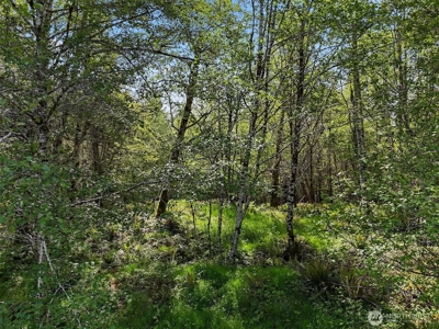 Peaceful 0.3‑Acre Corner Lot Backing to 500+ Acres of State Land - image 8