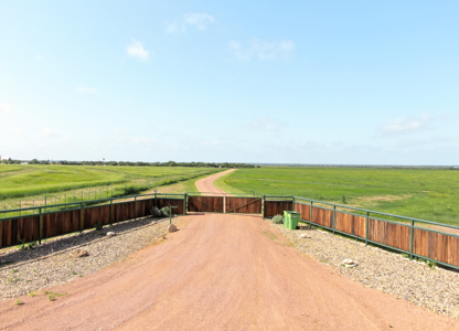 High-End Barndominium on 288 Acres in Central Texas - image 43