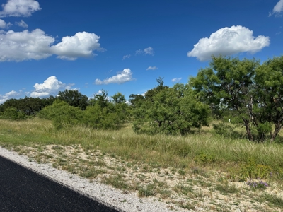 Prime Lot 463 Near Lake Brownwood & The Hideout Golf Club - image 4