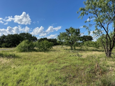 Prime Lot 463 Near Lake Brownwood & The Hideout Golf Club - image 11